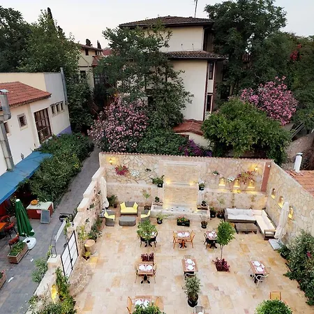 Otel Patron