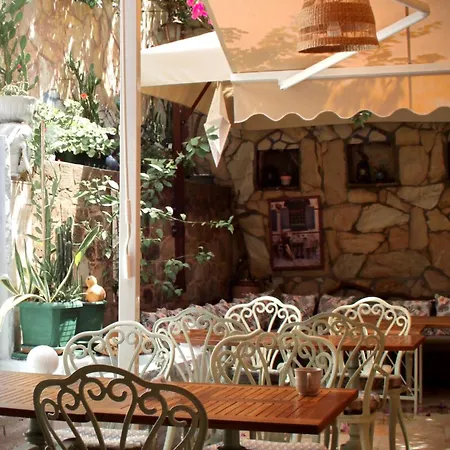 Patron Antalya