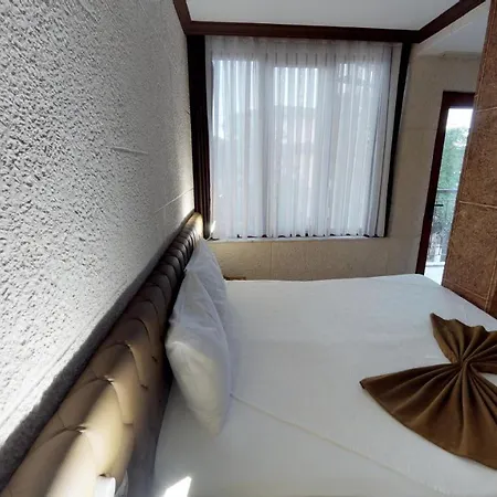 Hotel Patron 2*